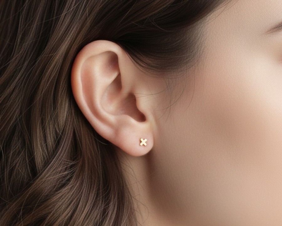 275 | Pliuso auskarai - vinukai